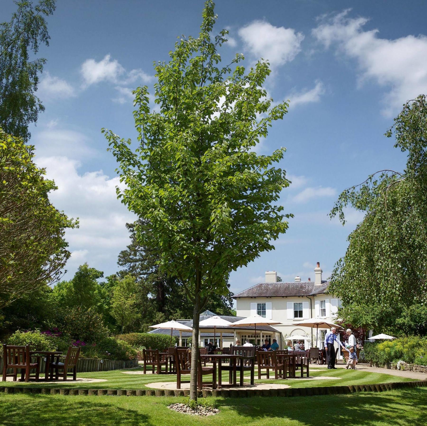 The Vineyard Hotel & Spa Newbury  Ngoại thất bức ảnh